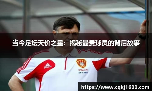 凤凰联盟