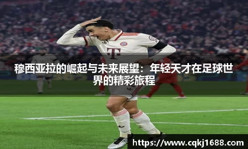 凤凰联盟